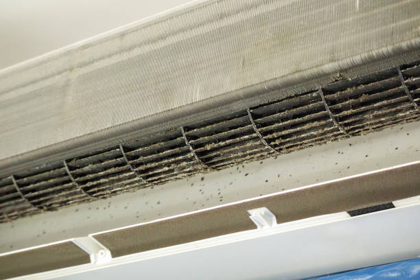 Best Affordable Air Duct Cleaning  in Evanston, IL